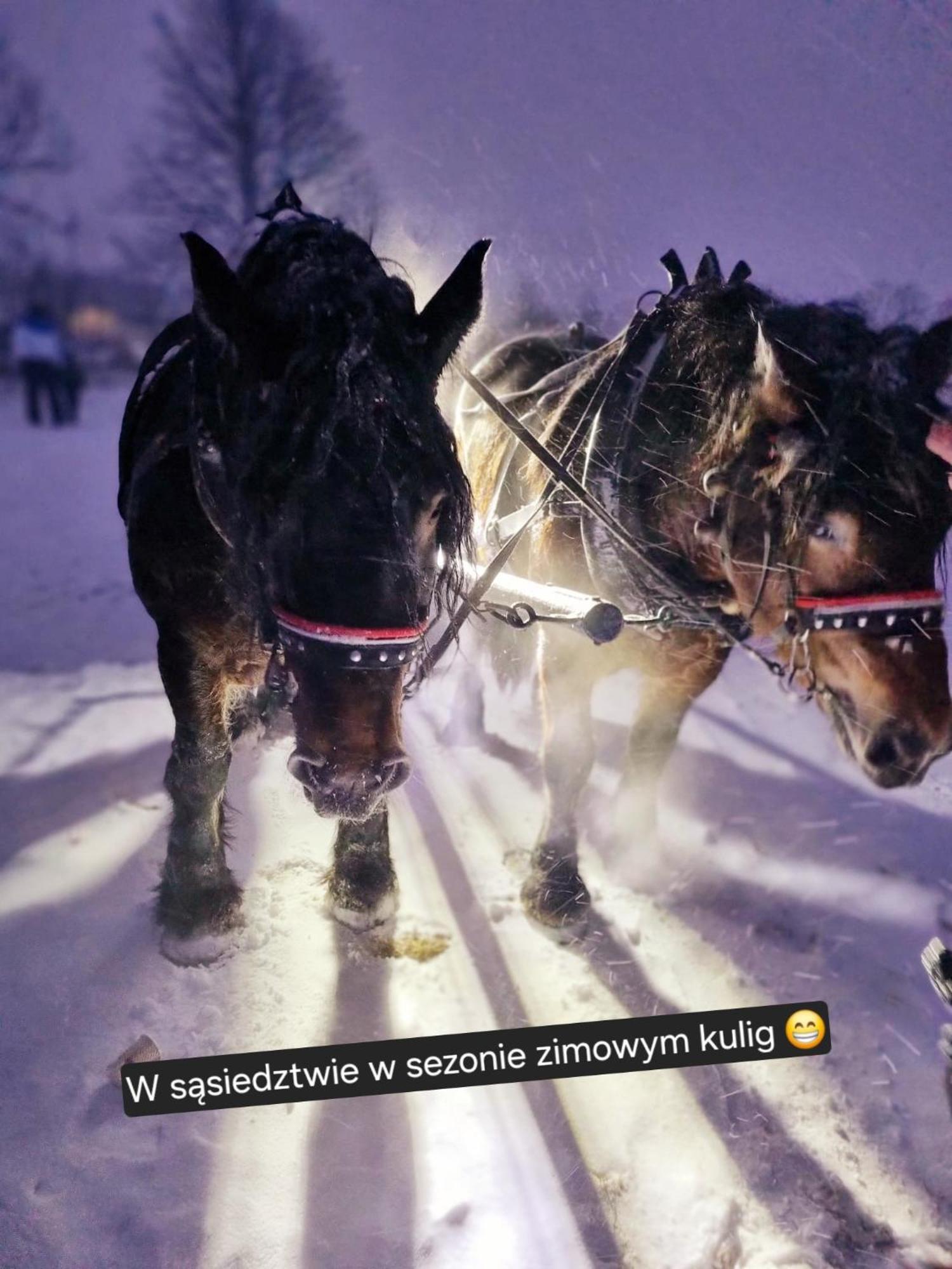 Zacisze W Karkonoszach Villa Karpacz Eksteriør billede